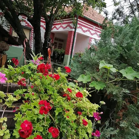 Bed & Breakfast Etno 