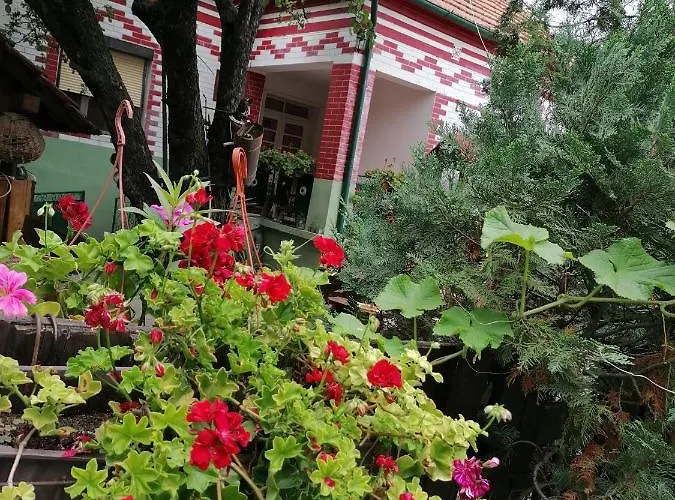 Bed & Breakfast Etno 